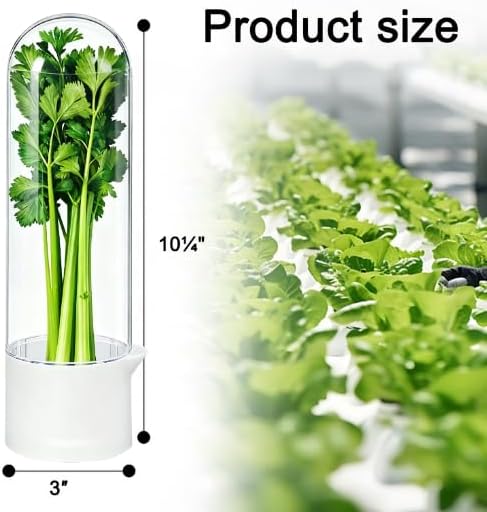Herb Saver for Refrigerator - Refrigerator Vegetable Freshener Bottle for Preserving Herbs, Parsley, Cilantro, Mint, Coriander, Asparagus for 2-3 Weeks(2Pcs)