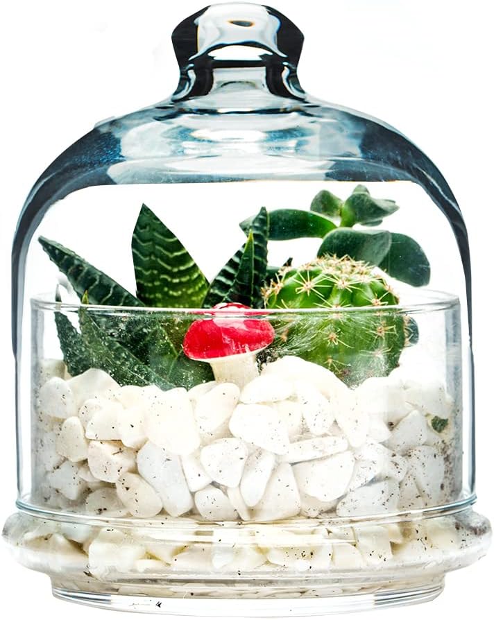 Multipurpose Glass Storage Jar with Lid, Avocado, Lemon, Onion, Tomato Keeper/Saver/Holder, Home & Kitchen Organizer (1 Pcs with Glass Lid)