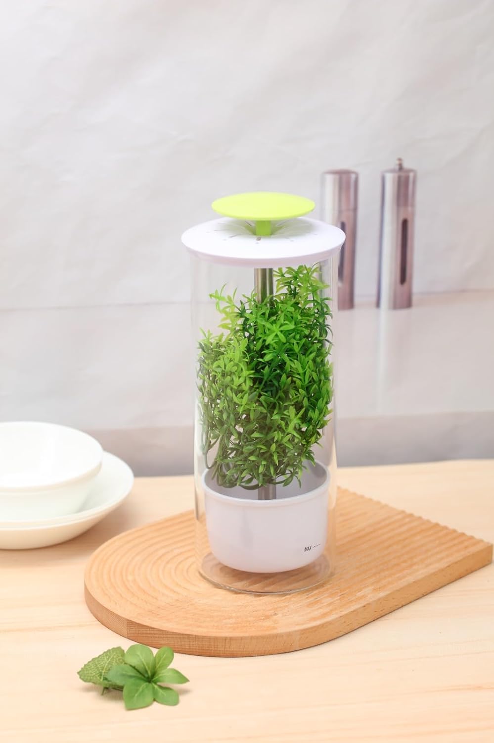 Herb Keeper and Herb Saver – Premium Borosilicate Glass Storage Container with Ventilation Slots – Easy Access Top Lid Produce Saver Cilantro Container with Drainage Holes