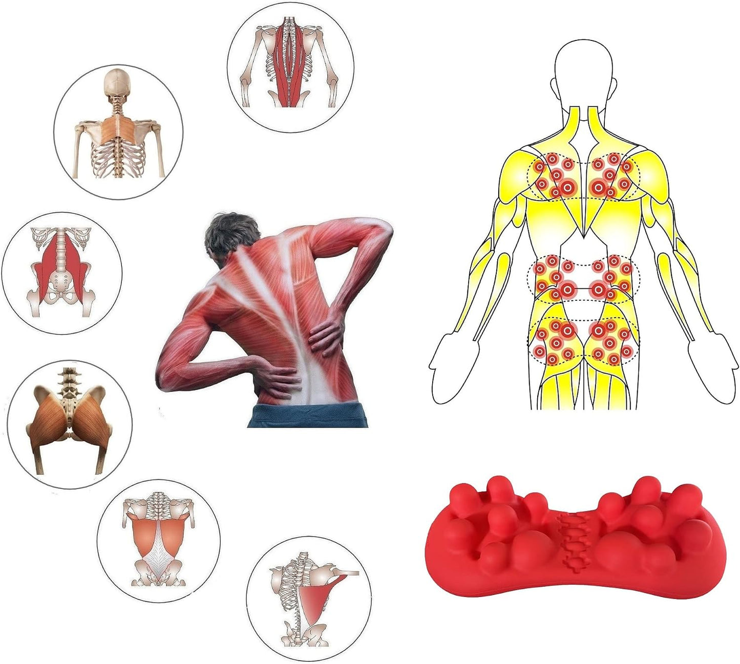 Back & Hip Trigger Point Massager for Piriformis, QL, Buttock and Back Muscle Knots, Myofascial Release Tool for Lower-Back Pain, Tightness, Deep Gluteal Tension