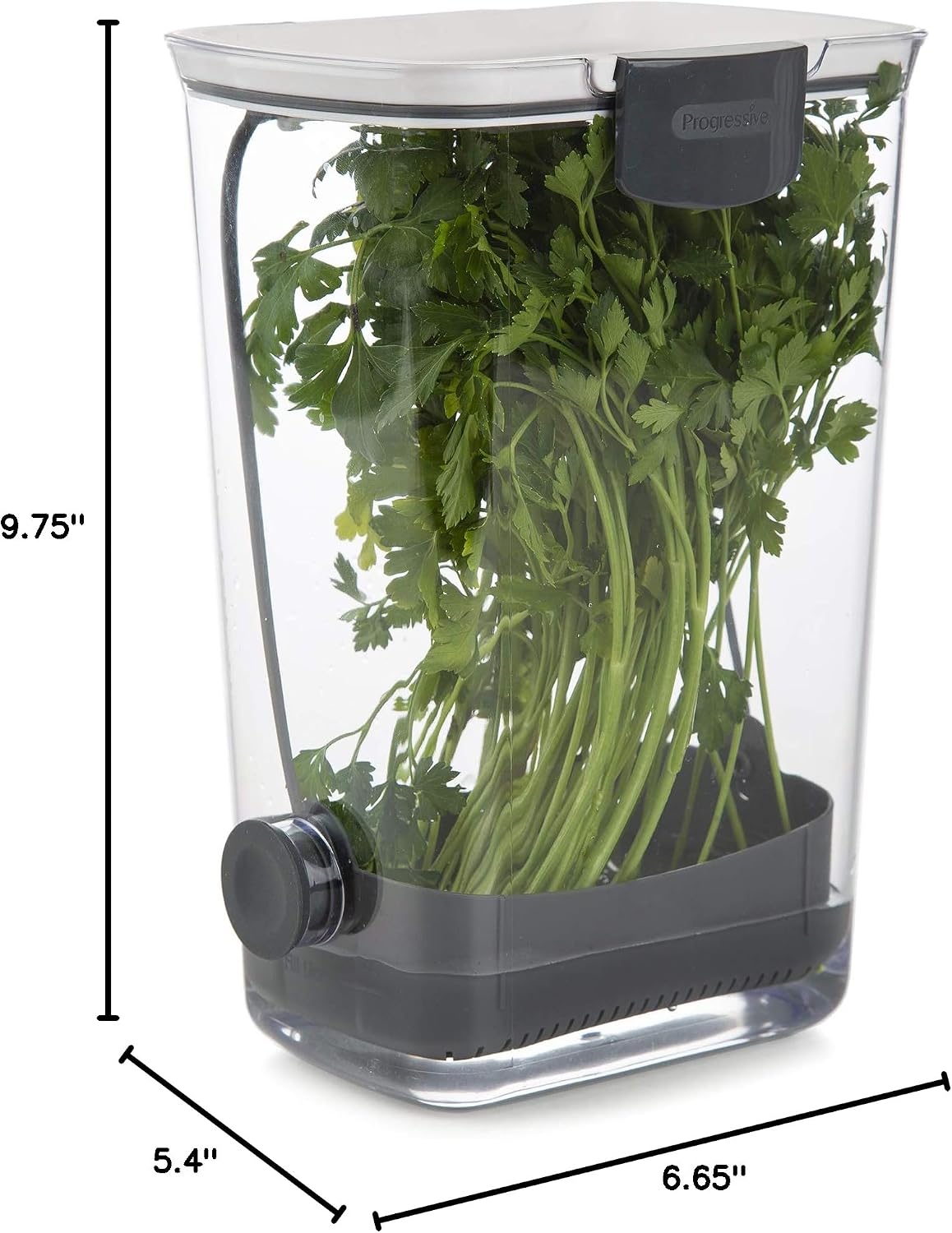 ProKeeper Herb Keeper with Removable Silicone Drain Plug, BPA-Free Plastic | Stores 1 to 3 Bunches Of Herbs Or Keeps Asparagus Hydrated, Removable Basket for Easy Access and Drainage, Dishwasher Safe