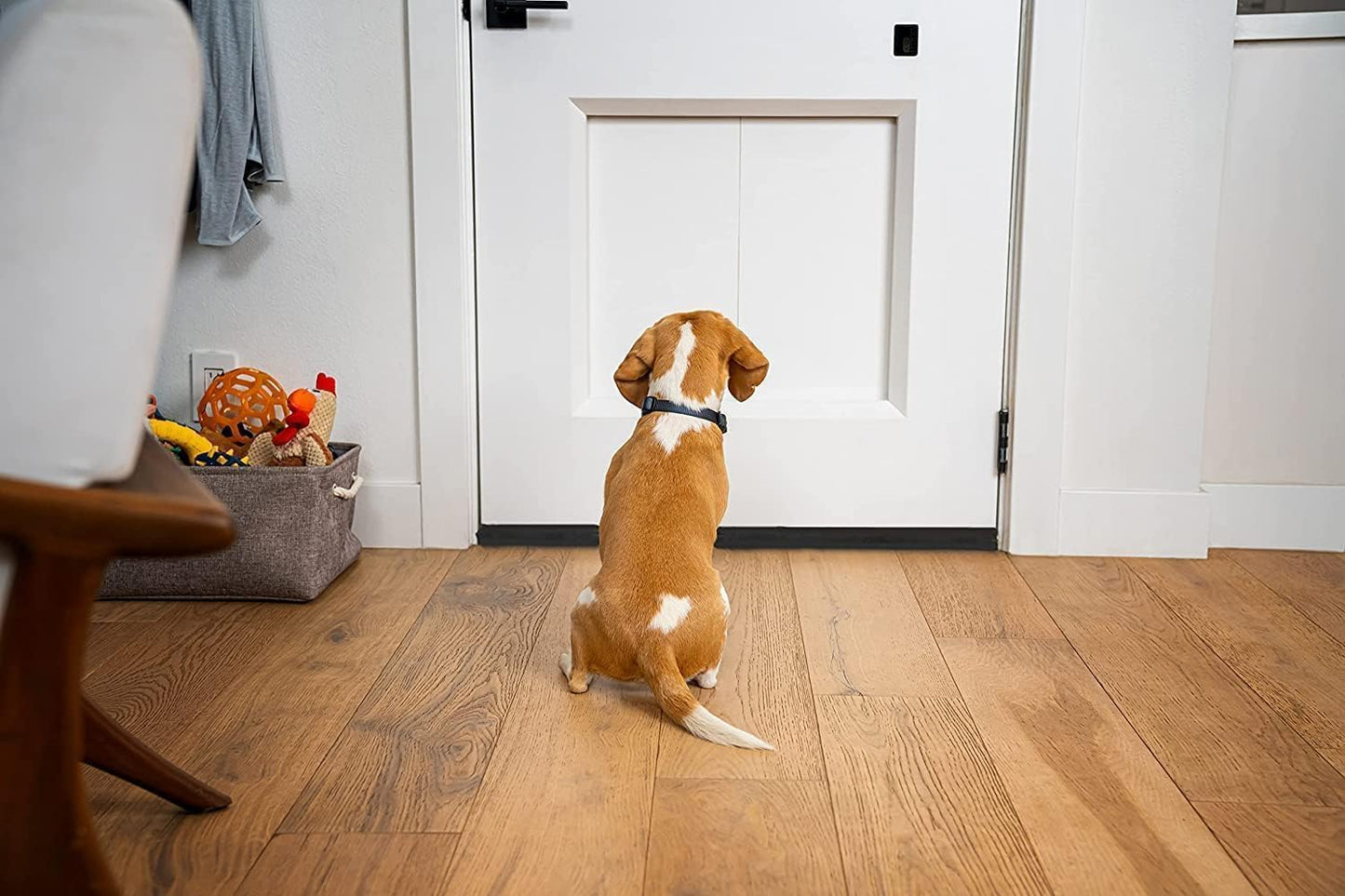 BKSAI Door Draft Stopper for Doors 29-35" No Adhesive Draft Stopper for Bottom of Door Draught Excluder Under Door Wind Blocker Reduce Noise Draught Excluder Sweep Sound Proof(Black) | No Adhesive, For Bottom of Door, Wind Blocker, Reduce Noise, Sound