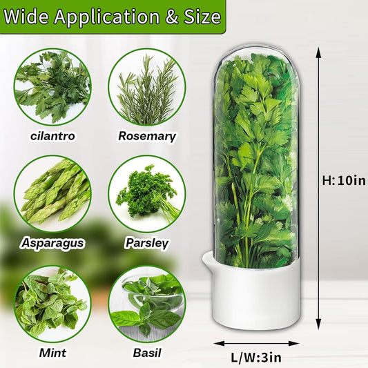 Herb Saver for Refrigerator, Herb Saver Pod Cilantro Containers for Refrigerator, Fresh Herb Keeper for Cilantro, Parsley, Asparagus, Mint, Keeps Greens Vegetables for 2-3 Weeks (Herb Keeper)