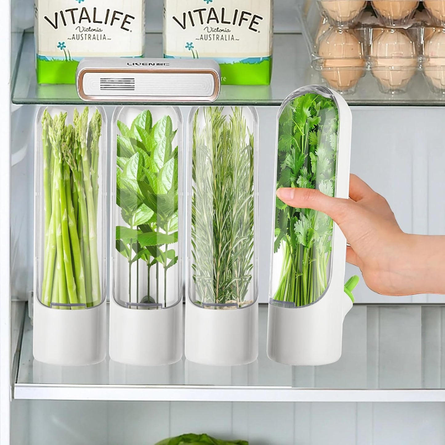 4 PCS Fresh Herb Keeper for Refrigerator, Herb Saver for Refrigerator, Cilantro Containers for Fridge, Herb Storage Containers for Cilantro Asparagus Mint Rosemary Parsley Basil for 2-3 Weeks