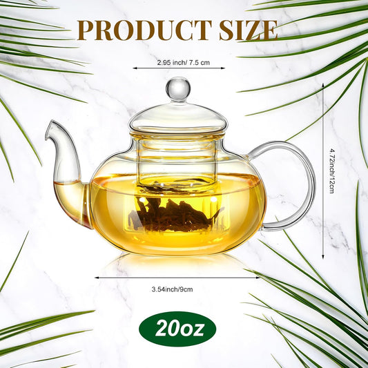 Teenyyou 2 Pack Glass Teapot with Infuser and Lid, 20 oz Clear Teapot Tea Kettle Glass Stovetop Safe Boiling Pot, Blooming and Loose Leaf Tea Maker