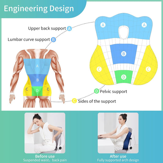 seeknow Lumbar Support Pillow for Chair Back Support Pillow for Couch Lumbar Pillow for Car Office Chair Back Cushion for Lower Back Pain Memory Foam Back Rest for Desk Chair, Recliner, Car Seats