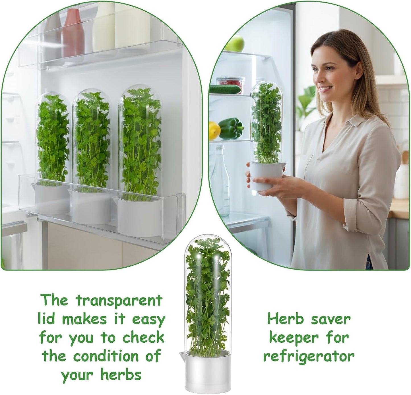 3PCS Herb Saver for Refrigerator, Fresh Herbs Lettuce Keeper for Refrigerator, Cilantro Container for Fridge Fres Parsley Mint Leaves Fresh Herb Keeper for Fresh for 2-3 Weeks