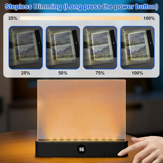 Book Light, Rechargeable Clear LED Reading Light with 3 Colors & Timer | Dimmable Full Page Panel Plate Lamp, Reading Lights for Book, Kids Eye Protection for Night Reading in Bed (White, Small)