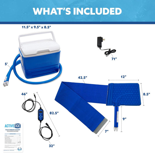 Polar Active Ice 3.0 Cold Therapy Ice Machine System with Programmable Timer, Foot and Ankle Therapy Pad, Lightweight 9 Quart Cooler, Quiet Pump, Strong Cryotherapy Pain Relief Treatment