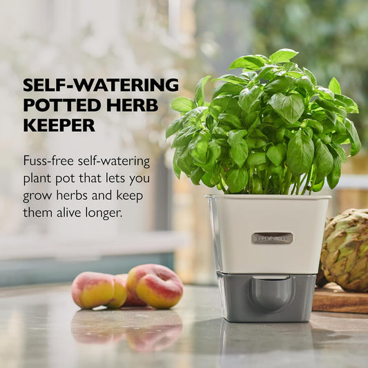 Cole & Mason Fresh Herb Keeper - Acrylic Storage Container for Refrigerator - Storage for Herbs & Vegetables for Fridge - Fresh Herb Keeper