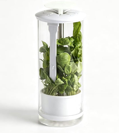 Fresh Herb Keeper Glass Container for Fridge, Borosilicate Herb Preserver Vase with Adjustable Water Line, Herb Storage Jar for Cilantro, Parsley, Basil, Mint, Green Vegetables，White
