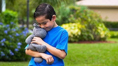 Thermal-Aid® (Olli The Koala) – Washable Heating Pad & Ice Pack – Plush Hot/Cold Pack with Natural Corn Filling – Reusable Comfort