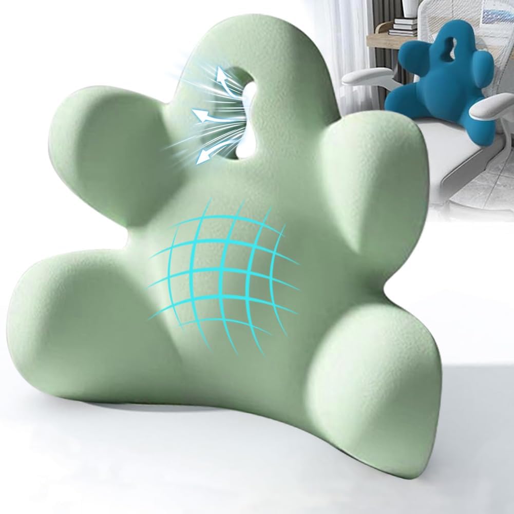 Lumbar Support Pillow for Office Chair, Back Support Pillow for Car, Chair