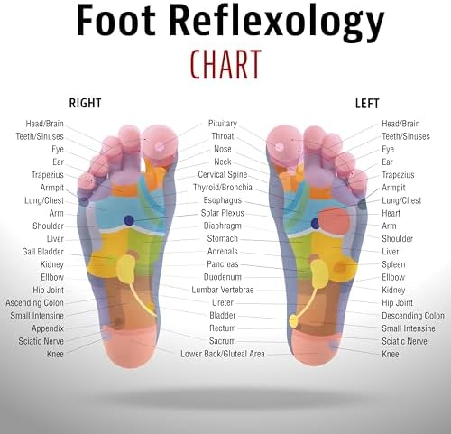 Socks Toe Alignment & Rock Mat for Feet Reflexology Kit | Foot Care Holiday Gift with Medium Toe Separator Socks for Bunions & Reflexology Foot Massage Mat for Relaxation (Medium)