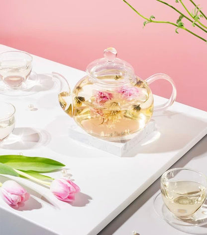 Jusalpha 11 PC-Glass Filtering Tea Maker Teapot with a Warmer and 6 Tea Cups Set (Version 2, 27-Oz) | 6 units of 1.7 oz tea cups, tea set comes with a 27 oz teapot with a removable infuser
