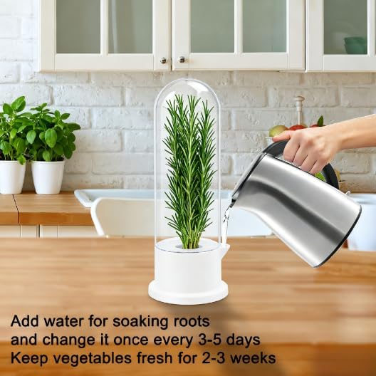 Herb Saver for Refrigerator - Refrigerator Vegetable Freshener Bottle for Preserving Herbs, Parsley, Cilantro, Mint, Coriander, Asparagus for 2-3 Weeks（2Pcs）