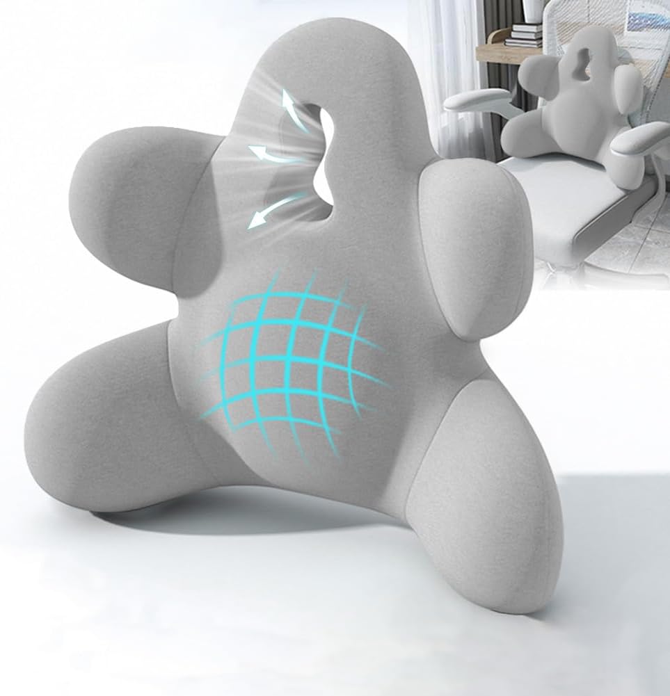 Lumbar Support Pillow for Office Chair, Back Support Pillow for Car, Chair