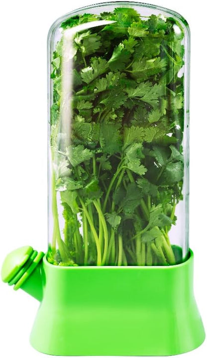 Herb Keeper for Refrigerator – Lettuce & Cilantro Container, Fresh Vegetable Saver Pod, Storage Bottle & Fresh-Keeping Box for Spinach, Asparagus, Celery, Mint (White)