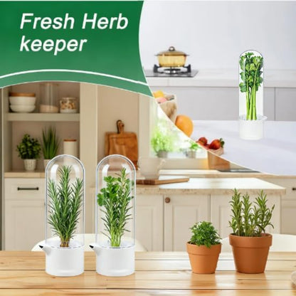 Herb Saver for Refrigerator - Refrigerator Vegetable Freshener Bottle for Preserving Herbs, Parsley, Cilantro, Mint, Coriander, Asparagus for 2-3 Weeks（2Pcs）