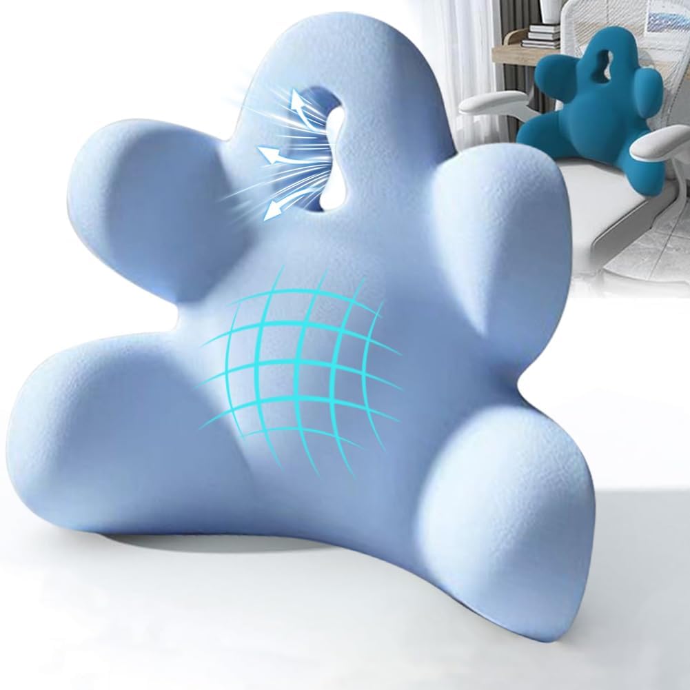 Lumbar Support Pillow for Office Chair, Back Support Pillow for Car, Chair