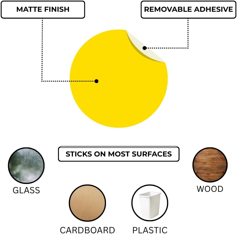 Removable Green Dot Stickers, 1/2 Inch, 1000/Box | Inventory Circle Labels with Removable Adhesive for Offices, Classrooms, Food Service, and Medical Settings. Made in USA