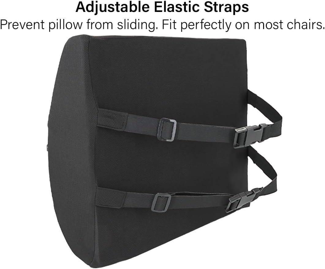 Vaunn Medical Seat Cushion, Lumbar Back Support Pillow for Office Chair with Removable Firm Insert