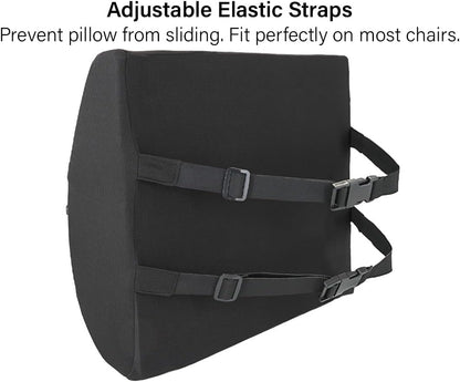 Vaunn Medical Seat Cushion, Lumbar Back Support Pillow for Office Chair with Removable Firm Insert