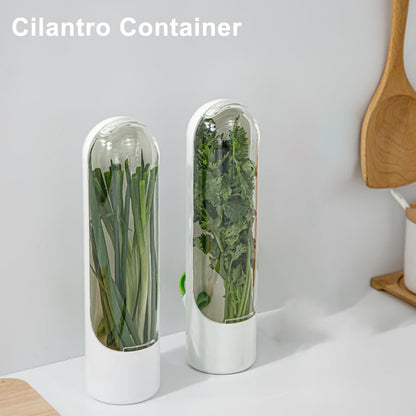 2 Pack Herb Keeper Container for Refrigerator, Clear Storage Bottle Fresh Storage Container for Cilantro Parsley Mint, Fresh Produce Saver, Extends Freshness for 2-3 Weeks