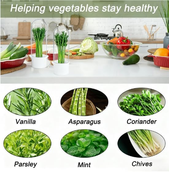 Herb Saver for Refrigerator - Refrigerator Vegetable Freshener Bottle for Preserving Herbs, Parsley, Cilantro, Mint, Coriander, Asparagus for 2-3 Weeks（2Pcs）