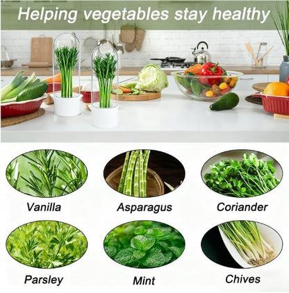 Herb Saver for Refrigerator - Refrigerator Vegetable Freshener Bottle for Preserving Herbs, Parsley, Cilantro, Mint, Coriander, Asparagus for 2-3 Weeks（2Pcs）