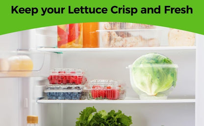 Trenton Gifts Lettuce And Vegatable Storage Keeper | 7" X 8"