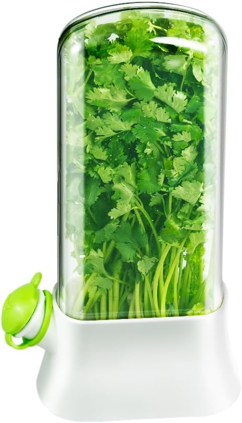 Herb Keeper for Refrigerator – Lettuce & Cilantro Container, Fresh Vegetable Saver Pod, Storage Bottle & Fresh-Keeping Box for Spinach, Asparagus, Celery, Mint (White)