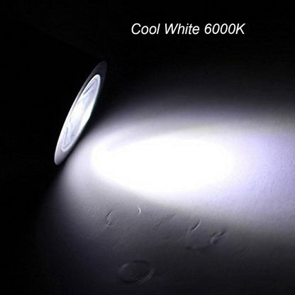 3W Wall Mounted Reading Light Flexible Gooseneck LED Sconce Lamp with Plug & Switch for Bedroom, Office, Workbench, Studio (01 Black Warm)