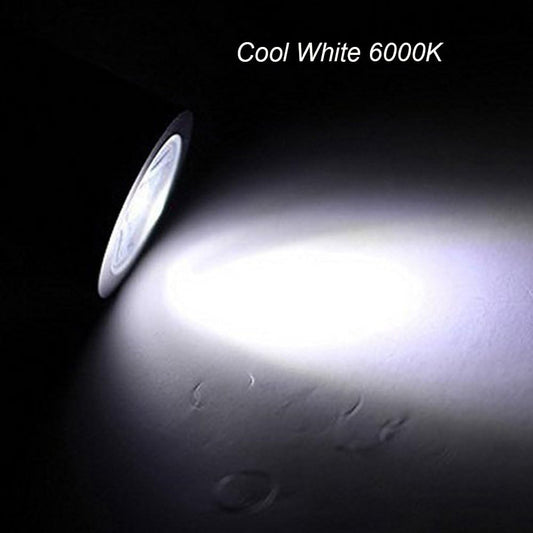 3W Wall Mounted Reading Light Flexible Gooseneck LED Sconce Lamp with Plug & Switch for Bedroom, Office, Workbench, Studio (01 Black Warm)