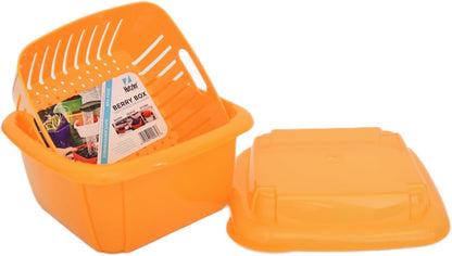 Hutzler 3-in-1 Berry Keeper Colander and Container, Keeps Berries Fresh Longer, 2 Pints, Apricot