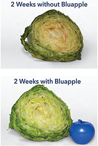 Bluapple Produce Saver Ethylene Gas Absorber - Fresh Fruit & Vegetable Storage for Refrigerator Crisper, Shelves & Fruit Bowls, Produce Keeper, Fruit Saver, Kitchen Must Haves, BPA-Free - 2-Pack