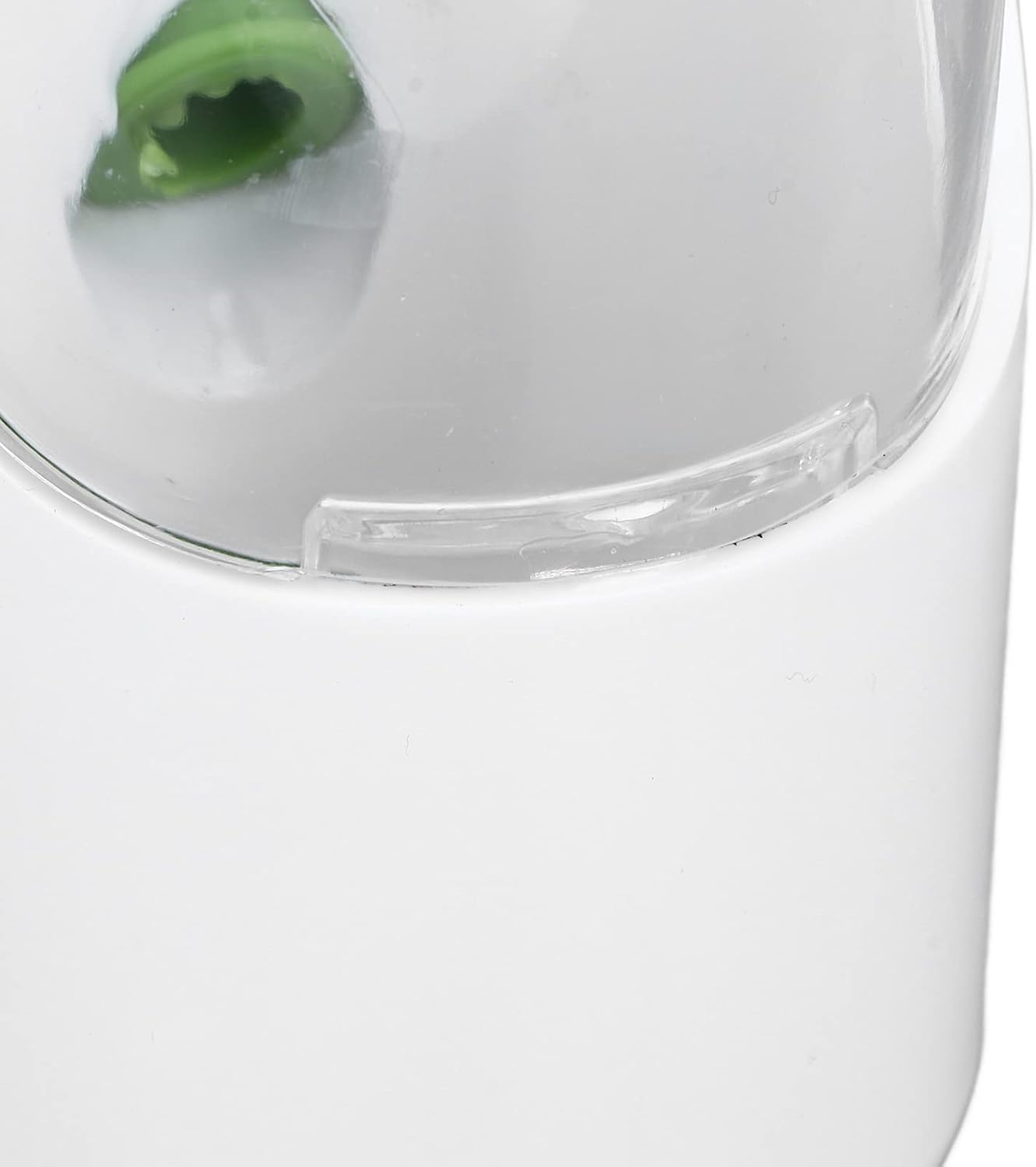 Agatige Cilantro Container for Fridge, 25cm Transparent Windows Vegetable Preservation Bottle Lettuce Keeper Containers for Cilantro Mint Parsley Asparagus