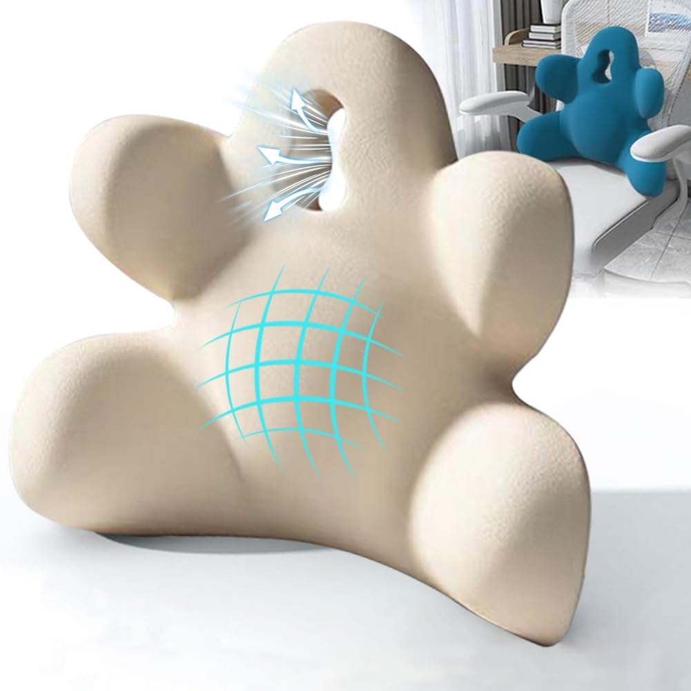 Lumbar Support Pillow for Office Chair, Back Support Pillow for Car, Chair
