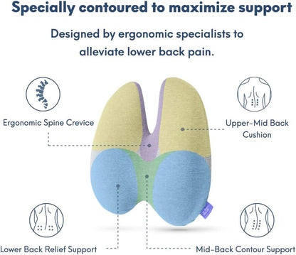 C CUSHION LAB Extra Dense Lumbar Pillow - Patented Ergonomic Multi-Region Firm Back Support for Lower Back Pain Relief - Lumbar Support Cushion with Strap for Office Chair, Car, Sofa, Plane - Grey