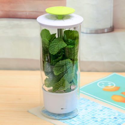Herb Keeper and Herb Saver – Premium Borosilicate Glass Storage Container with Ventilation Slots – Easy Access Top Lid Produce Saver Cilantro Container with Drainage Holes