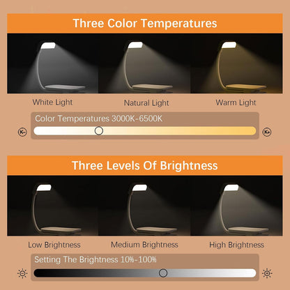 Choudao Rechargeable Book Light, Portable Reading Light,Black | Eye Caring 3 Color Temps, Extremely Long Battery Life, Portable Clip-On Reading Light for Studying