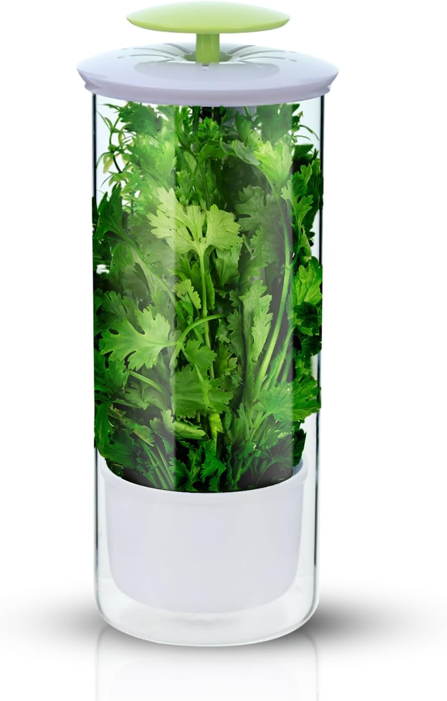 Herb Keeper and Herb Saver – Premium Borosilicate Glass Storage Container with Ventilation Slots – Easy Access Top Lid Produce Saver Cilantro Container with Drainage Holes