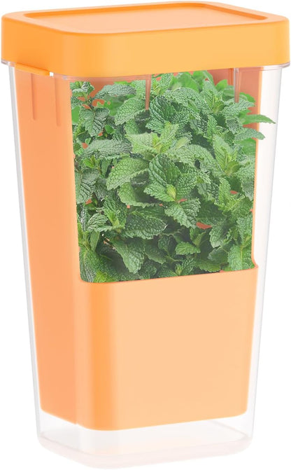 Fresh Herb Keeper for Refrigerator, 5.1x4.1x 9.06 in Clear Herb Saver, Fridge Asparagus Container, Fresh Herb Saver, Herb Storage Containers, for Cilantro, Parsley, Thyme, Asparagus(Green)