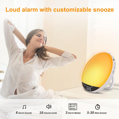 DreamSky Digital FM Radio with Bluetooth Speaker and Sleep Timer for Kids