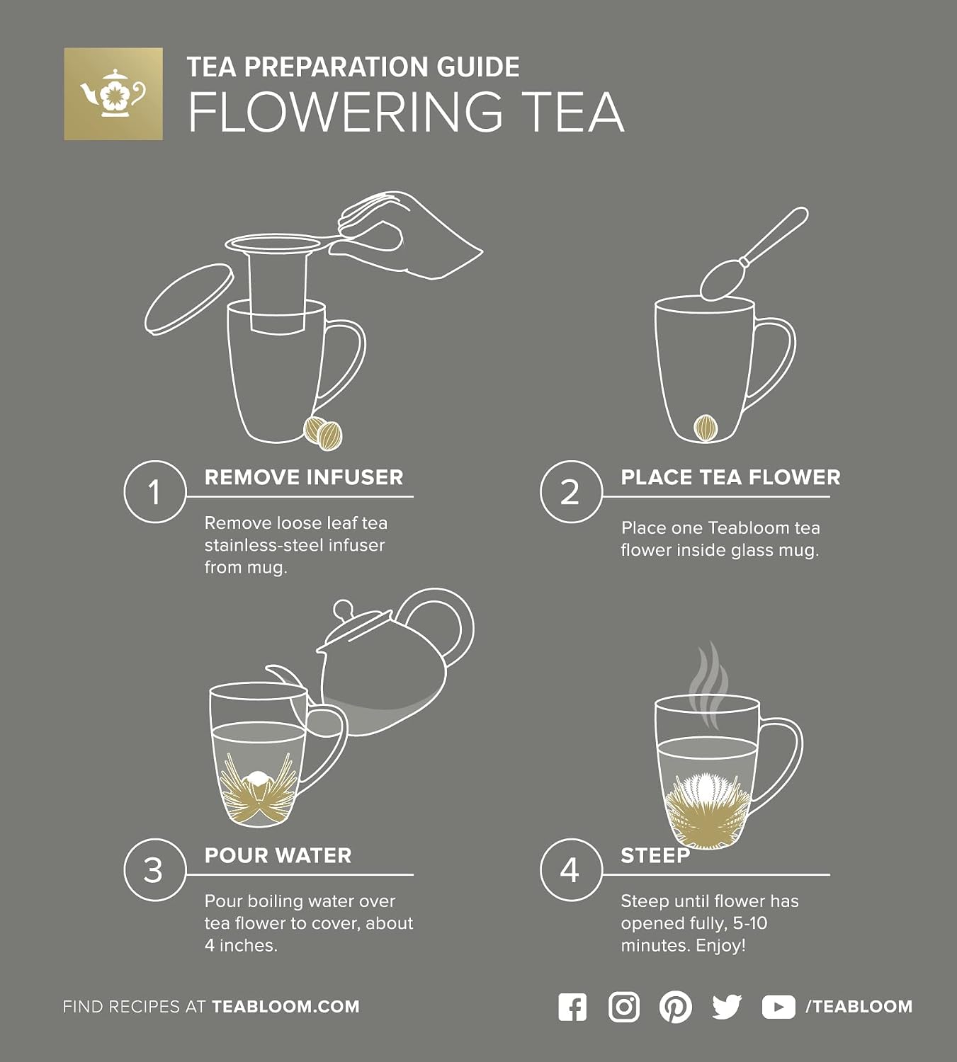 Teabloom Stay-Hot Heatproof Glass Mug with Loose Tea Infuser and Lid – 15 oz /430 mL – 2 Blooming Teas Included