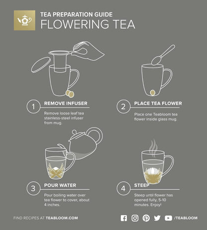 Teabloom Stay-Hot Heatproof Glass Mug with Loose Tea Infuser and Lid – 15 oz /430 mL – 2 Blooming Teas Included