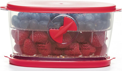 PrepSolutions Fresh Fruit & Vegetable Keeper, Green – Airtight Container with Vent for Prolonged Freshness | Airtight Storage Container Features Adjustable Vent for Prolonged Freshness, BPA-Free and Dishwasher Safe