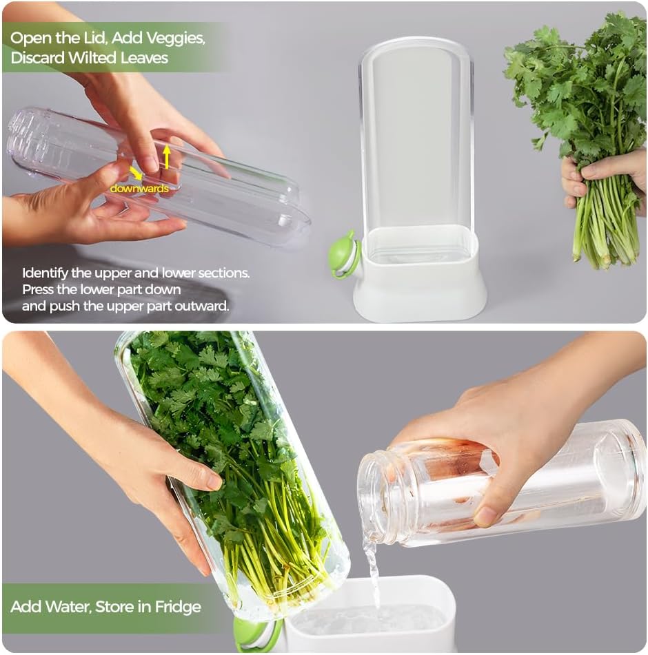 Herb Keeper for Refrigerator – Lettuce & Cilantro Container, Fresh Vegetable Saver Pod, Storage Bottle & Fresh-Keeping Box for Spinach, Asparagus, Celery, Mint (White)
