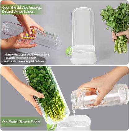 Herb Keeper for Refrigerator – Lettuce & Cilantro Container, Fresh Vegetable Saver Pod, Storage Bottle & Fresh-Keeping Box for Spinach, Asparagus, Celery, Mint (White)
