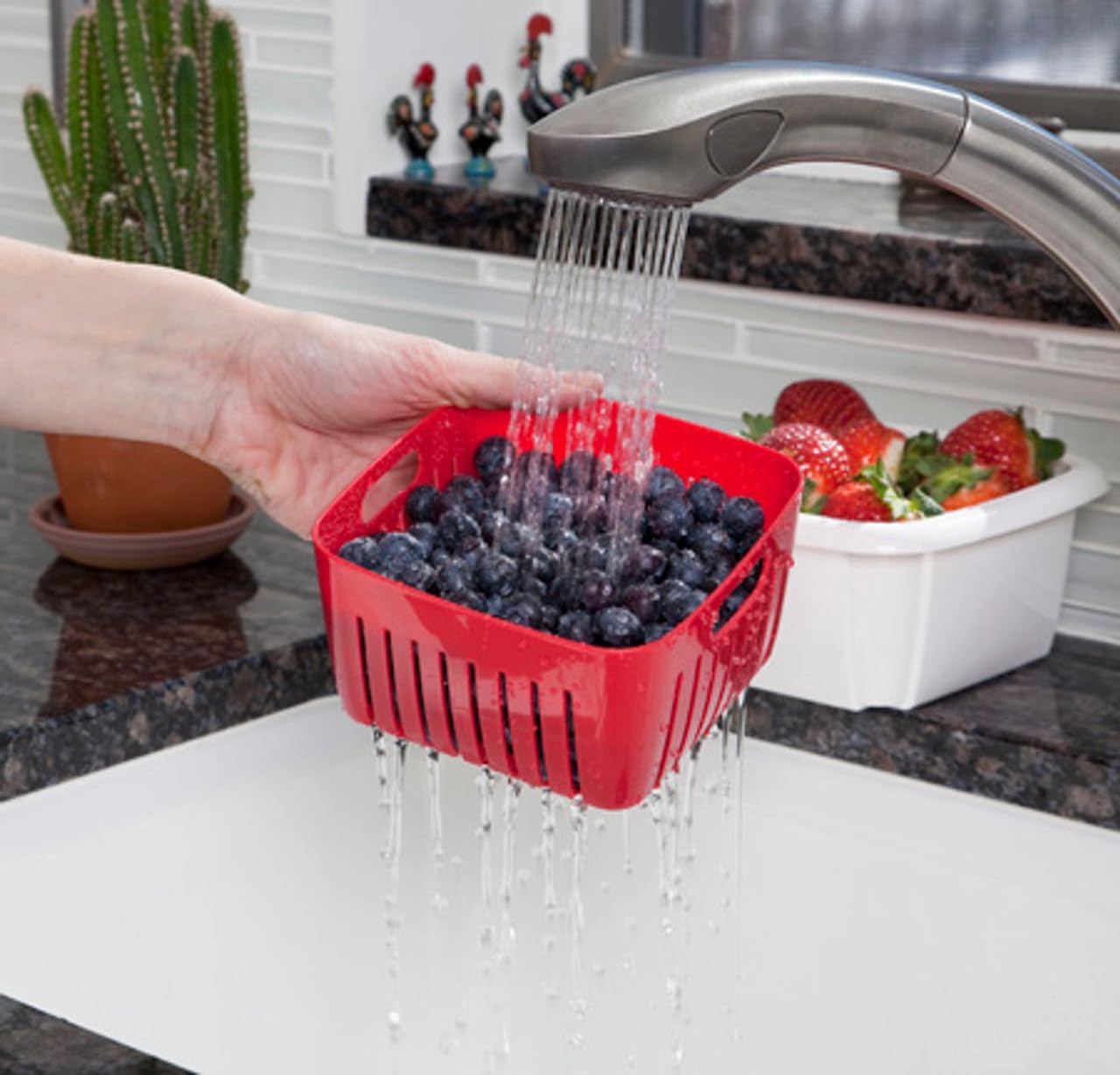 Hutzler 3-in-1 Berry Keeper Colander and Container, Keeps Berries Fresh Longer, 2 Pints, Apricot